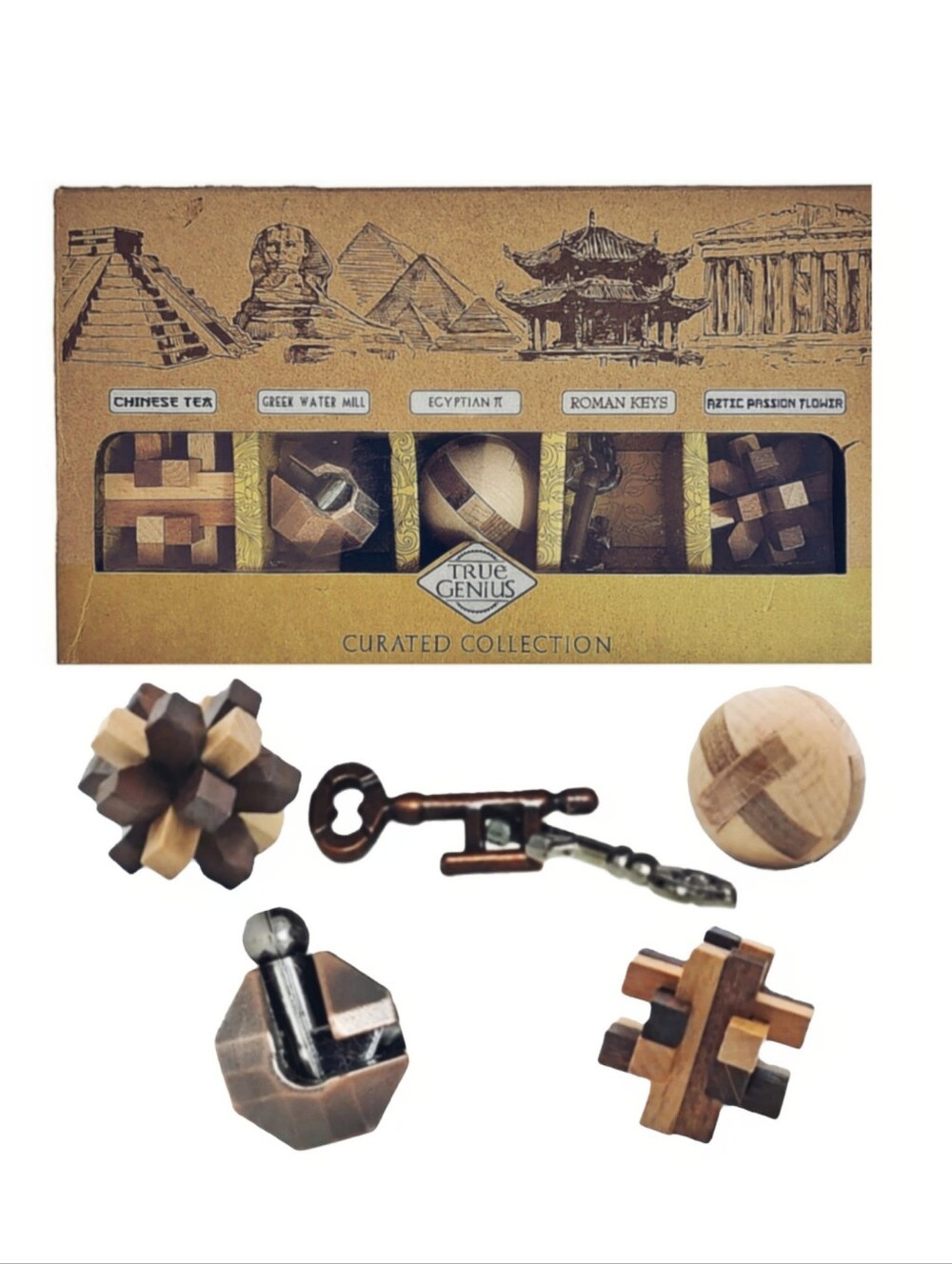5 Premium Wood And Metal Brainteasers